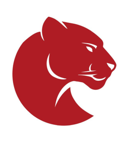 Cougar  Contracting group